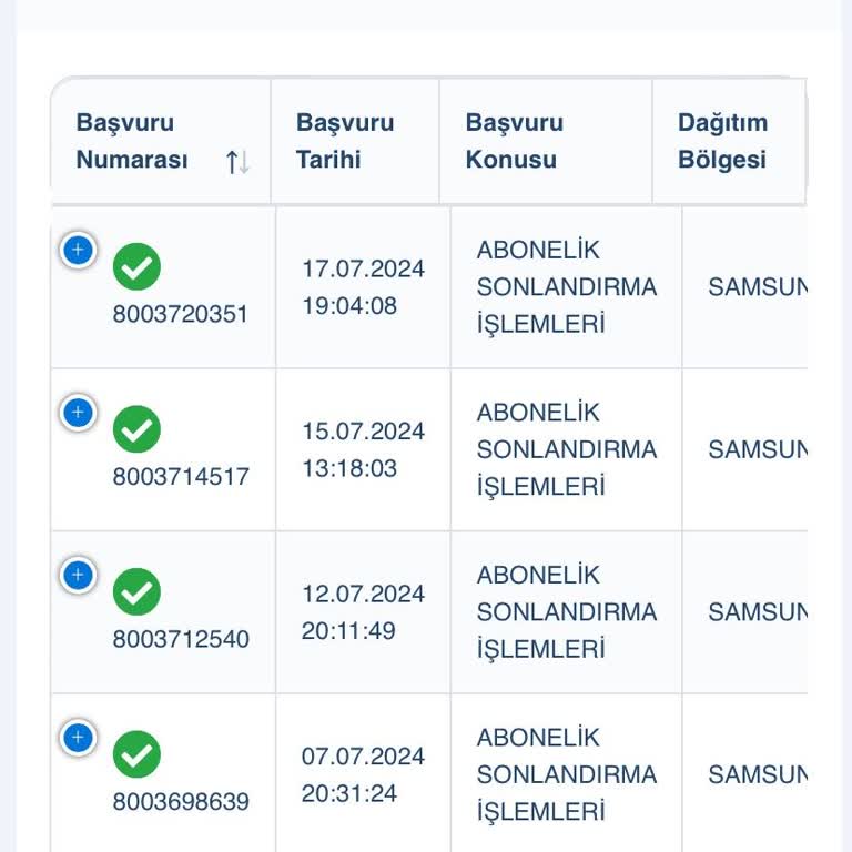 YEPAŞ (Yeşilırmak Elektrik Perakende) Elektrik Aboneliği İptalinde Gecikme Ve İletişim Sorunu