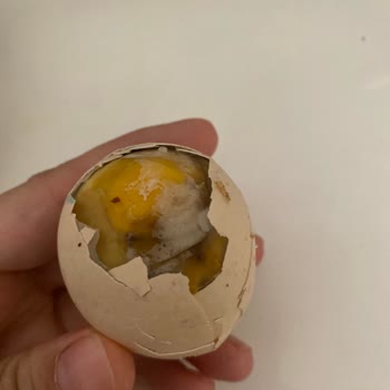 Getirsen CP Gezen Tavuk Yumurtası Çürük Çıktı