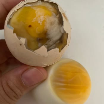 Getirsen CP Gezen Tavuk Yumurtası Çürük Çıktı