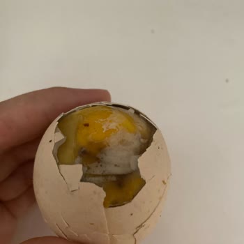 Getirsen CP Gezen Tavuk Yumurtası Çürük Çıktı