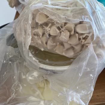 Yemeksepeti Kuryelerinin Sürekli Hasarlı Ürün Teslim Etmeleri