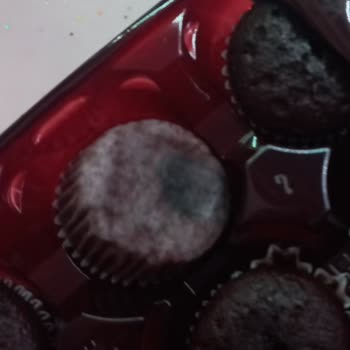 Eti Gıda Eti Brownie Küflenmiş Bir Şekilde Çıktı