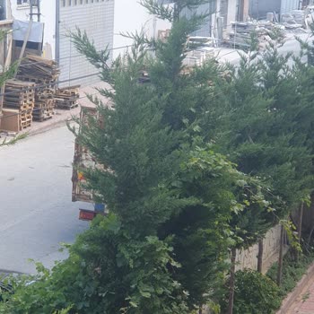 Konya Büyükşehir Belediyesi Sosyal Yasam Tehlikesi