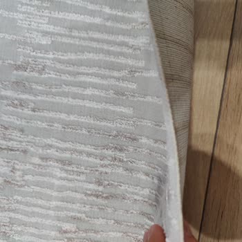 Dyson V12 Süpürge Sorunu Ve Çözülmemesi