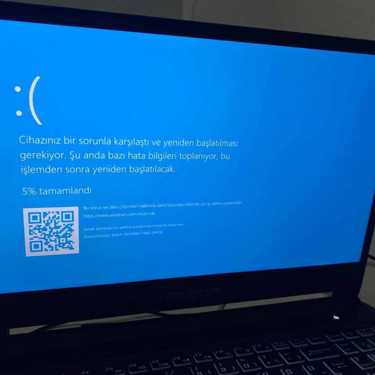 Monster Notebook'ta Sürekli Mavi Ekran Sorunu