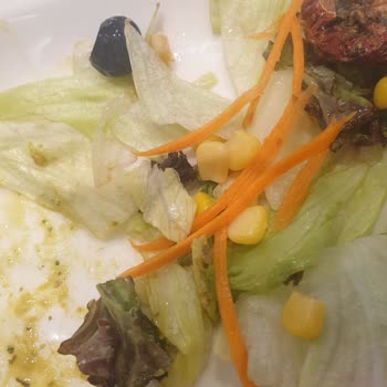 Tavuk Dünyası Silivri Kipa Bozuk Salata