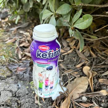 Altınkılıç Yaban Mersinli Kefir Ürünü Patladı Ve Taştı!