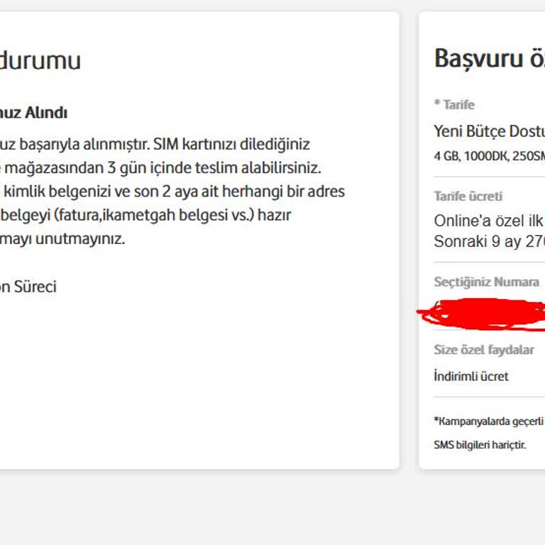 Vodafone Yeni Aldığım Numara Sistemde Gözükmüyor.