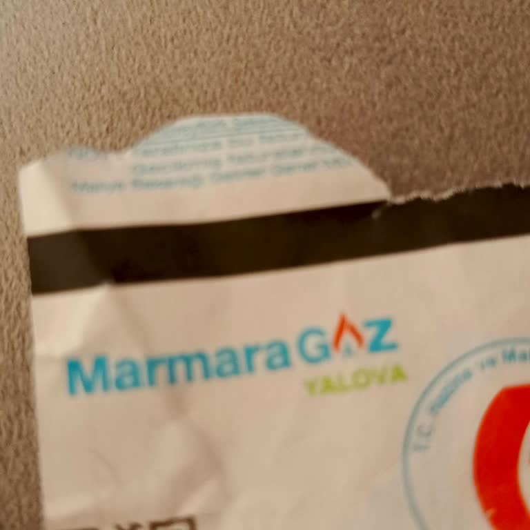 Armagaz Marmaragaz Yalova Fatura Ödeyememe, Sorunu