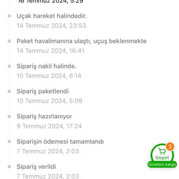 Temu Siparişlerim Durumu Teslim Edilmemesi