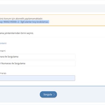 E-Devlet Üzerinden Elektrik Aboneliği Başvurusunda Yaşanan Sorun
