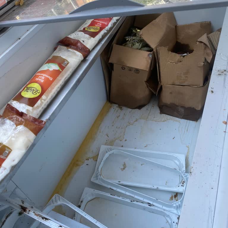 Algida Dolap Arızalı Olduğu İçin Ürünlerim Bozuldu