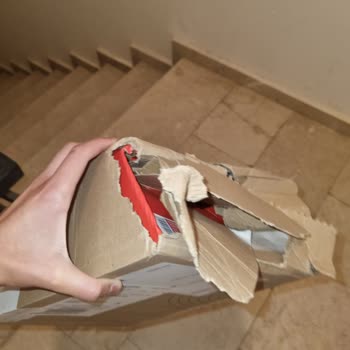 Nike.com Panda Dunk Hasarlı Geldi