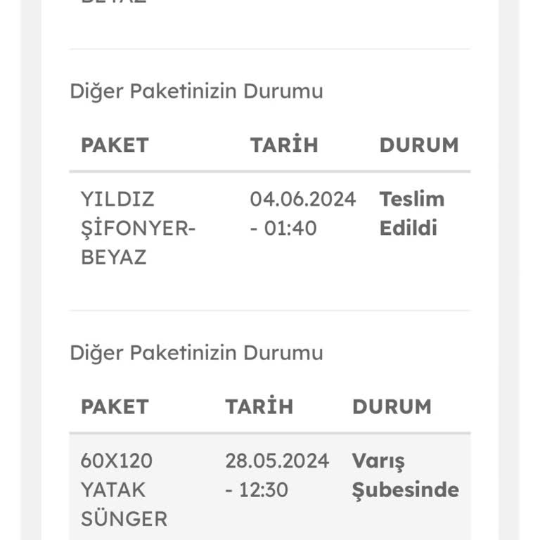 Evdemolojistik Kargomu 2 Aydır Getirmiyor