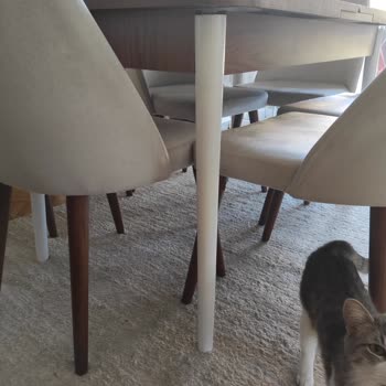 Ankara İpek Mobilya İstanbul Yolu Şikayetvar