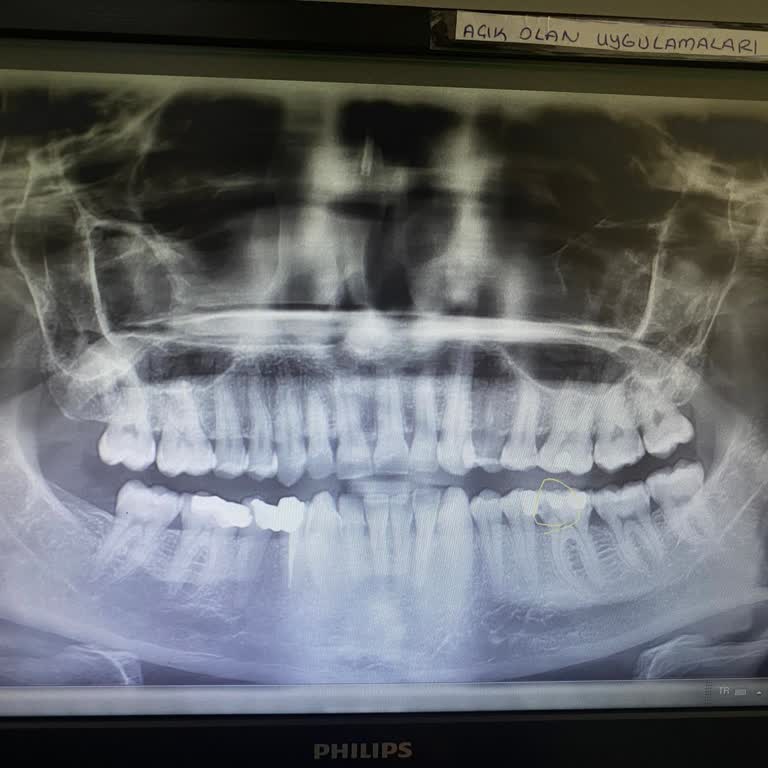 Ersöz Ağız Ve Diş Sağlığı Merkezi İlgisiz İşletme Ve Üst Düzey Ücret Politikası