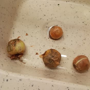 Getir Ödeme İadesini Yapmıyorlar