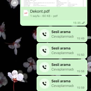 Blue Sky Organizasyon Mesajlara Cevap Vermiyor