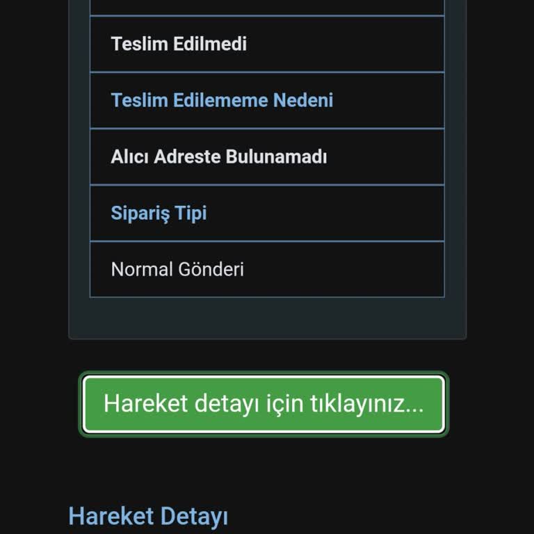 Borusan Lojistik Kargo Teslim Edilmemesi