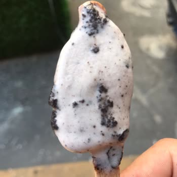 Algida Dondurmadan Kıl Çıktı