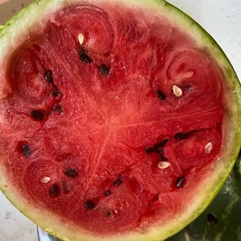 Migros'un Sürekli Olarak Bozulmuş Karpuz Satması