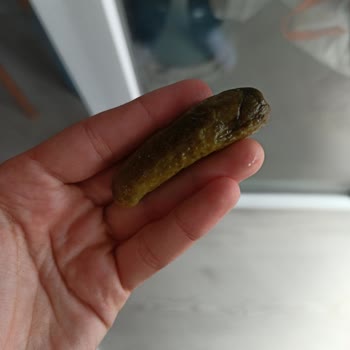 Tukaş Ve A101 Paramızı Hak Etmiyor