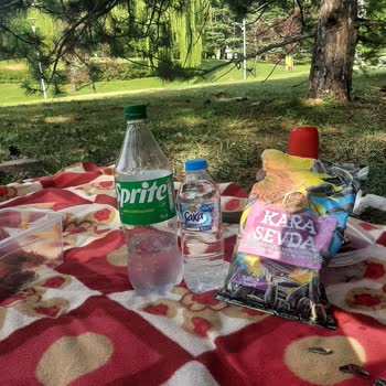 Sprite Sincan Harikalar Diyarı Fahiş Fiyat!