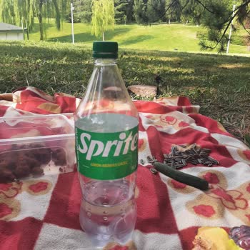 Sprite Sincan Harikalar Diyarı Fahiş Fiyat!