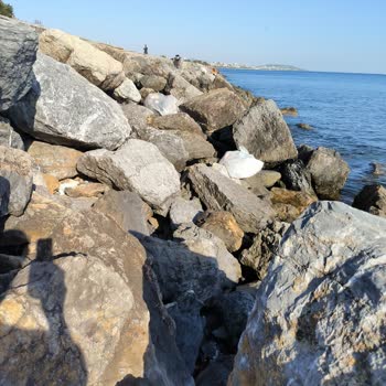 İBB - İstanbul Büyükşehir Belediyesi Kadıköy Şaşkınbakkal Da Çöp Birikintisi