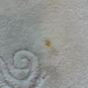 Buyrun Halı Yıkama Mağduriyeti!