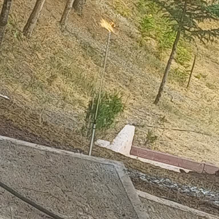 Keçiören Belediyesi Temizlik Ve Sulama Yok