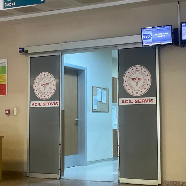 Ortaca Belediyesi Muğla Ortaca Dikmekavak Mahallesi Sinek İlaçlaması Yapılmıyor