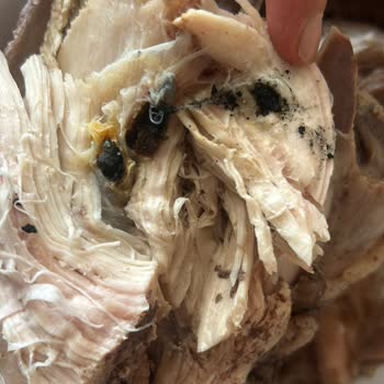 Akkaş Çiftliği Tavuktan Çıkan Küflü Çivi!