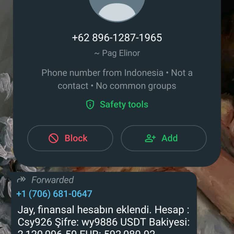 WhatsApp "Finansal Hesabın Eklendi" Şeklinde Gelen Mesaj