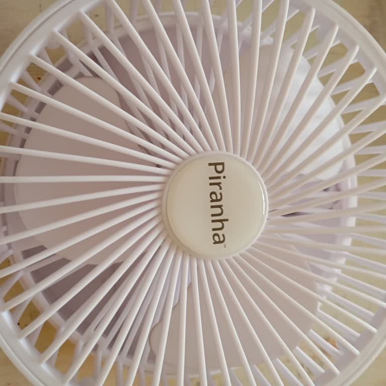 Piranha Marka Şarjlı Masaüstü Vantilatör