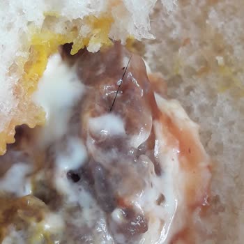 Köfteci Yusuf Hamburger Köftesine Saplanmış Kıl.