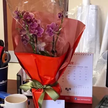 Taze Çiçek, Hediye Çiçeğin Görselle Hiçbir Alakası Yok