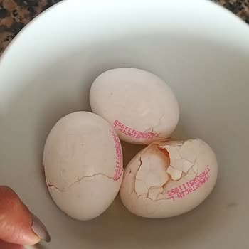 Migros Para İadesi Yapmıyor.