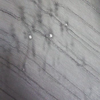 Kevser Bahadır Online Butikte Ürün Sorunu