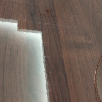 Bellona'nın Sorumsuz Ve İlgisiz Davranışı