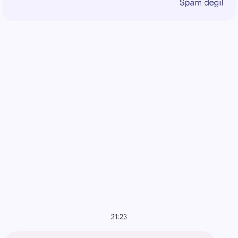 Tarafıma Gelen Binance Mesajları