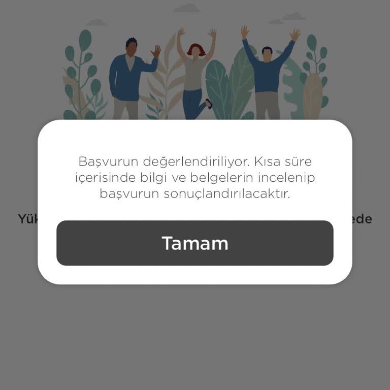 Martı Tağa Giriş Yapamıyorum
