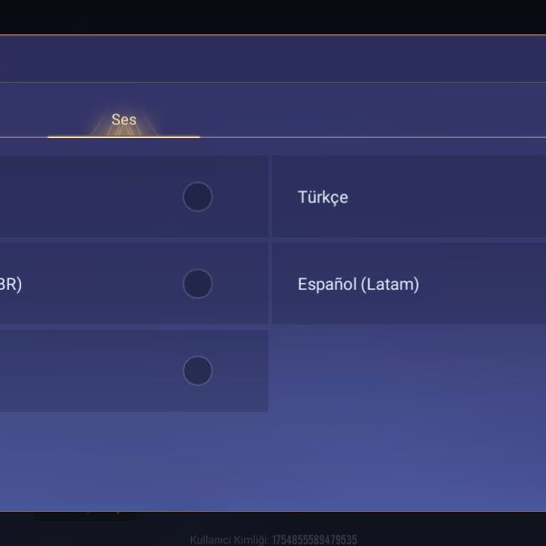 Arena of Valor Valor Of Kings:Yeni Çağ Oyununun Türkçe Düşmanlığı