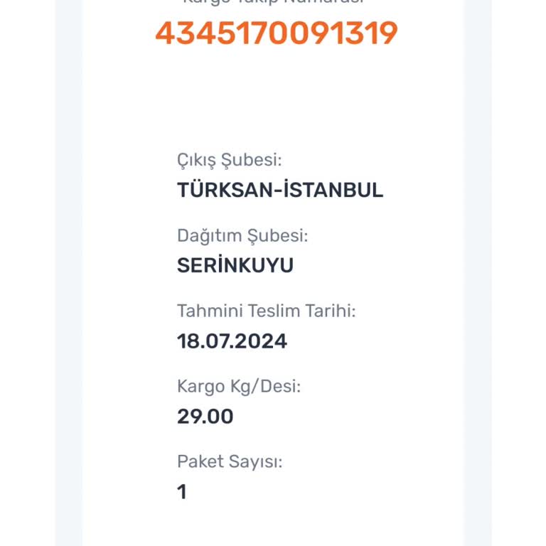 Aras Kargo Kargonun Belirtilen Tarihte Teslim Edilmemesi Sorunu