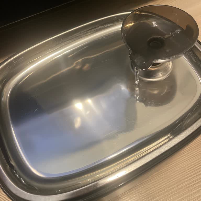 Kiwipets Su Çeşmesi