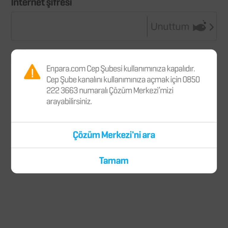 Enpara Acil Dönüş Yap Hesabımı Kullanamıyorum