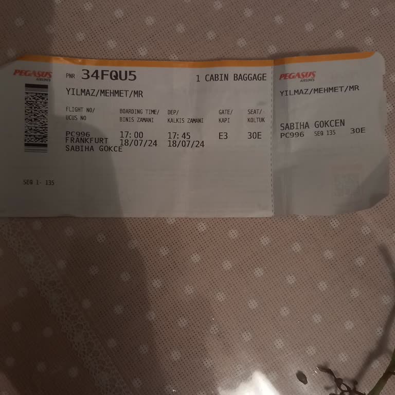 Pegasus Bagaj Problemi Oldu Havuz Problemi