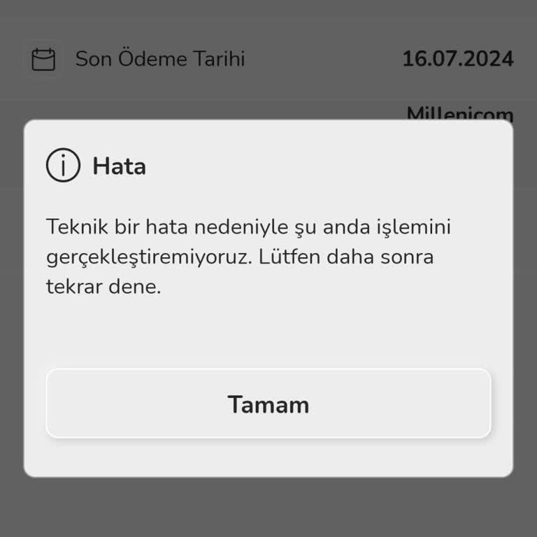 Millenicom Fatura Ödeme Sorunu Ve Gecikme Bedeli
