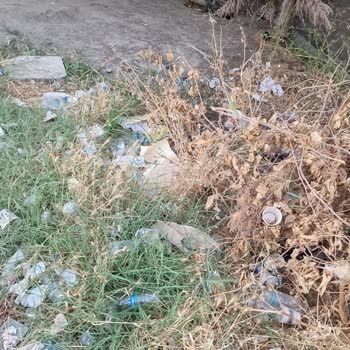 Söke Fehime Faik Kocagöz Devlet Hastanesi Memnun Değiliz