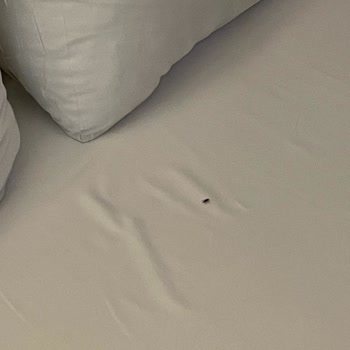 Karya Family Resort Hijyen Hiç Memnun Kalmadık
